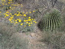 photo thumbnail #4