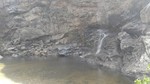 recent photo