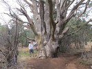 photo thumbnail #2