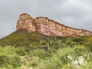 2017-03-23 :1: White Cyn Wild-Old Alignment AZT 16 No & 17 So :: Oregon_Hiker