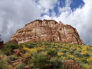2017-03-23 :1: White Cyn Wild-Old Alignment AZT 16 No & 17 So :: Oregon_Hiker