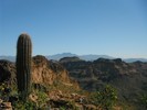 photo thumbnail #4