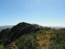 photo thumbnail #8
