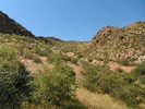 photo thumbnail #15