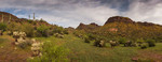 photo thumbnail #4