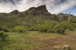 photo thumbnail #5
