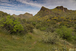 photo thumbnail #6