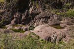 photo thumbnail #10