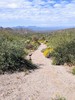 photo thumbnail #11