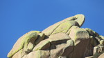 photo thumbnail #3