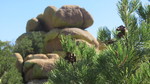 photo thumbnail #14