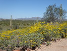photo thumbnail #2