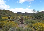 photo thumbnail #1