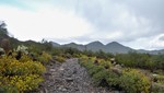photo thumbnail #15