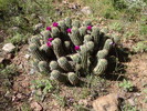 photo thumbnail #7