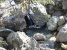 photo thumbnail #15