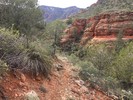 photo thumbnail #8