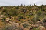 photo thumbnail #4