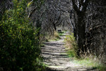 photo thumbnail #5