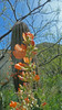 photo thumbnail #13