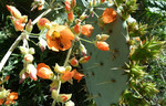photo thumbnail #14