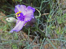photo thumbnail #15