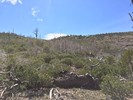 photo thumbnail #15