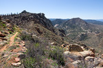 photo thumbnail #9