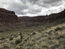 photo thumbnail #15
