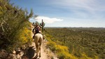 photo thumbnail #12