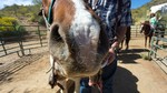 photo thumbnail #14