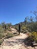 photo thumbnail #2