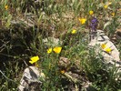 photo thumbnail #9