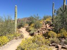 photo thumbnail #11