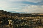 photo thumbnail #2