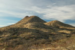 photo thumbnail #3