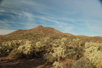 photo thumbnail #4