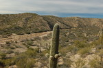 photo thumbnail #8