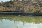 photo thumbnail #12