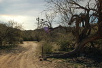 photo thumbnail #14