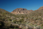 photo thumbnail #7