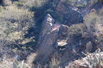 photo thumbnail #8