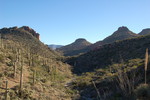 photo thumbnail #9