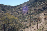 photo thumbnail #12