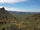 photo thumbnail #4