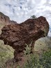 photo thumbnail #13