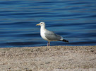 photo thumbnail #14