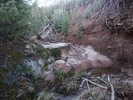 photo thumbnail #4