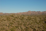 photo thumbnail #2