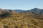 photo thumbnail #3